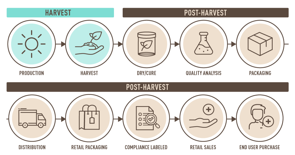 harvest-post-harvest-timeline